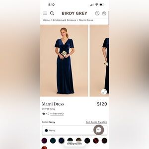 Birdy Grey Velvet Navy Maxi Dress